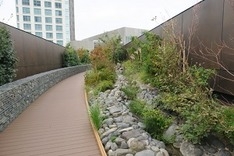 この小径は会場前、ビルの5階です