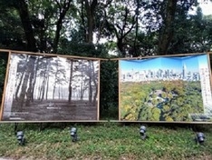 鎮座前と現在の比較写真