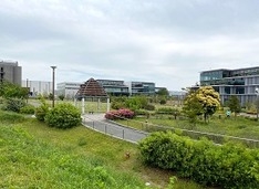 春の風景 家族連れが多く集まる