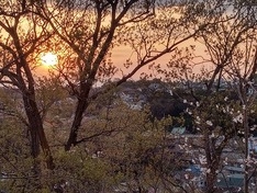 　　　　弘明寺公園展望台からの夕陽
