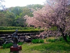 　　　　片倉城址公園　桜と少女像