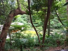 5人立ち弓道場