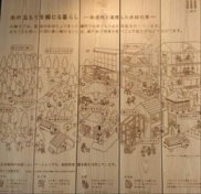 玄関入り口壁の木質化説明