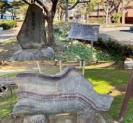 ⑸国木田独歩の碑(上) かの子の歌碑(下)