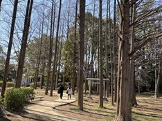 ⑵ふるさとの森