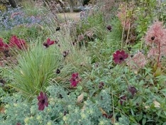 秋を想定したガーデンづくり