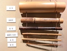 材料となる竹、6種