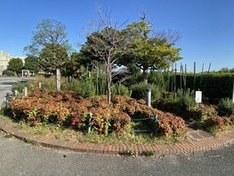 ⑴屋上には花壇や運動場などがある