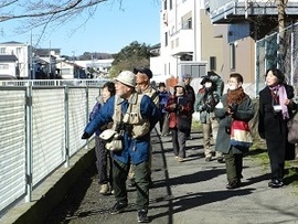 先頭はガイドの白鳥さん。平瀬川を歩く
