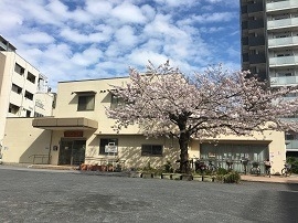 1本桜とコミュニティーハウスさくら