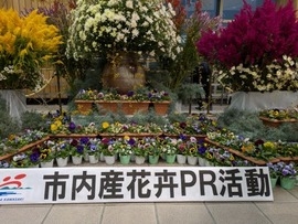 花卉とは観賞用の花の総称